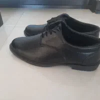 کفش کلاسیک سایز ۴۴