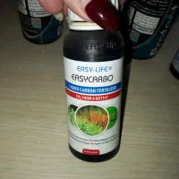 لوازم آکواریوم|ماهی|کاشان, دانش|دیوار