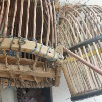 قفس پرنده