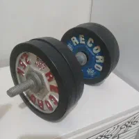 دمبل