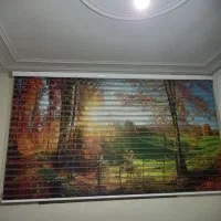 پرده زبرا منظره