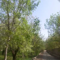 کردان کوهسار باغ شهرکی سندار ۱۰۰۰متر تهاتر باملک