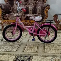 دوچرخه پسرانه دخترانه