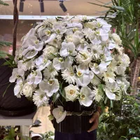 اجرای انواع گل آرایی به صورت آنلاین و حضوری