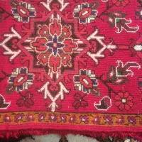 دوعدد پادری خوشرنگ