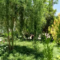 ویلا اجاره ای در ویلا شهر کیمیا دشتکوه|اجارهٔ کوتاه‌مدت ویلا و باغ|شیراز, حومه شیراز|دیوار