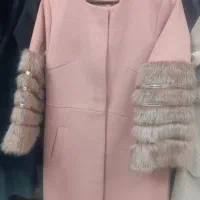 پالتومجلسی