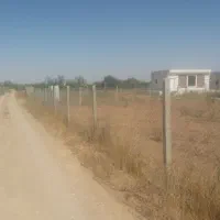 باغ انگور سیاشانه|فروش دفتر صنعتی، کشاورزی، تجاری|اسفرورین, |دیوار