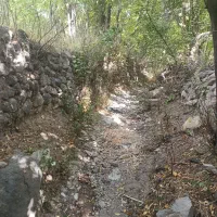 باغ هروی