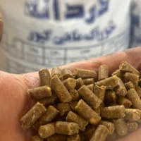 پخش عمده بچه ماهی سفید کپور قزل آلا|ماهی|سنندج, |دیوار