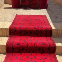 کناره سرخ افشان