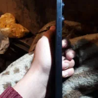 گوشی نوت ۱۳|موبایل|نقده, |دیوار