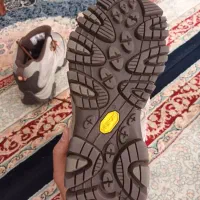 کفش|کیف، کفش، کمربند|شاهین‌شهر, طالقانی|دیوار