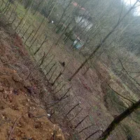 زمین|فروش زمین و ملک کلنگی|رشت, لاکان|دیوار