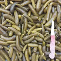 خیارشور تازه ترد خوشمزه