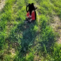 زمین-دیم-برای-کشت-هندوانه-وکنجدوگندم-و00000