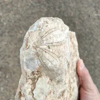 سنگ قیمتی