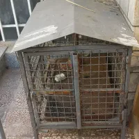 قفسه آهنی