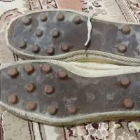 کفش مردانه|کیف، کفش، کمربند|هرسین, |دیوار