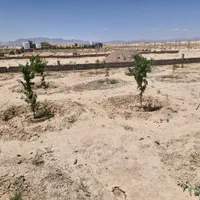 معاوضه با خودرو 1000 متر زمین باغی|فروش زمین و ملک کلنگی|شاهین‌شهر, گرگاب|دیوار