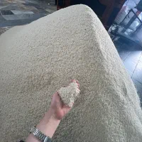 خرید با کیفیت و با قیمت مناسب از تولیدکننده|خدمات پذیرایی، مراسم|قائمشهر, |دیوار