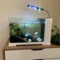 آکواریوم شیشه خم با تمام تجهیزات