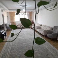 آپارتمان پنت هاوس دوبلکس|فروش آپارتمان|قدس, شهرقدس|دیوار