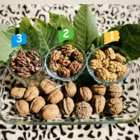 فروش مغز گردو محلی هزارجریب
