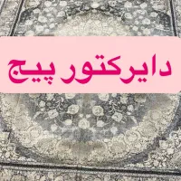 دایرکتور اینستاگرام