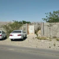 باغچه سند دار با درختان میوه واب برق