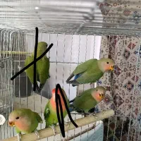 سه تا فقط دو میلیون