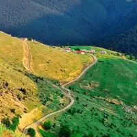 همسفر طبعیت گرد|فعالیت داوطلبانه|رشت, کوی مهر|دیوار