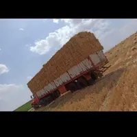 خرید پرس کلش گندم نقدی|خدمات باغبانی و درختکاری|دورود, |دیوار