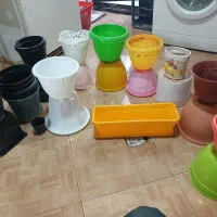 گلدان سالم مفت ب