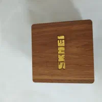 ساعت مچی|ساعت|پیشوا, |دیوار