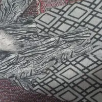 پالتونو|لباس|اردبیل, |دیوار