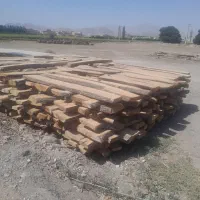 فروش اسلب یا تخته گردو