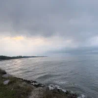 استخدام