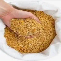 ذرت استیم فلیک