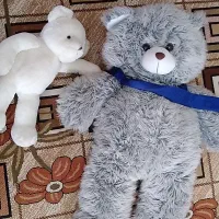 عروسک شاسخین