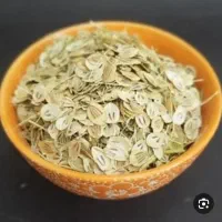 فروش گل پر