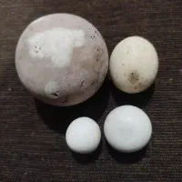 سنگ عتیقه|کلکسیون اشیاء عتیقه|قوچان, |دیوار