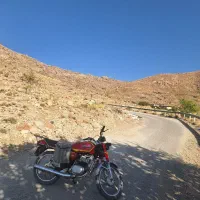 گردو تک کنی طزرجان