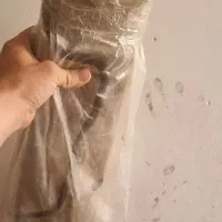 روداشبوردی زانتیا