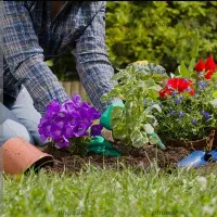 انجام کلیه امور باغبانی