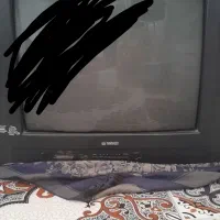 تلویزیون