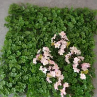 شکوفه مصنوعی و پنل گرین وال