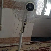 پنکه زمینی پایه بلند سونیا