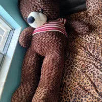 کادو بوده فضا ندارم نگهش دارم