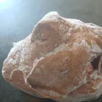 کله پاچه